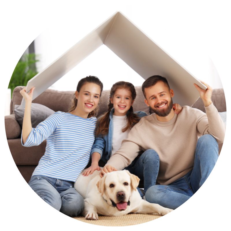 theme builder TQbIZ1OXgjK5cBs9